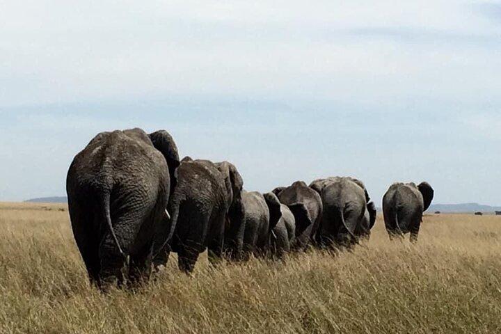 8 días de lujo Serena Safari