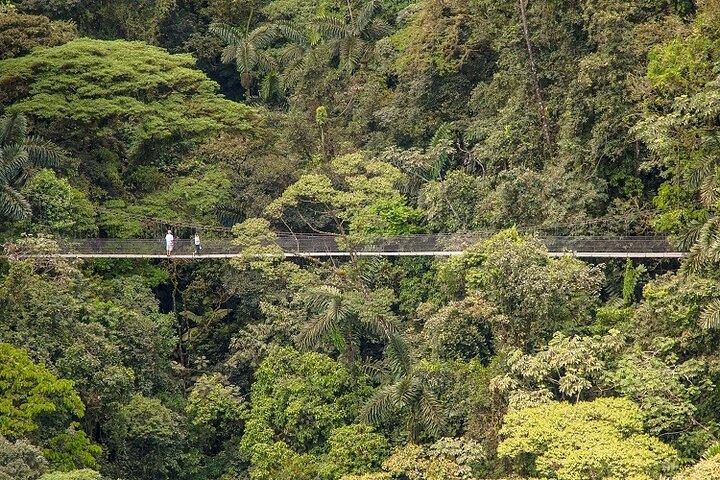 Arenal Best 4 Attractions Giornata intera Combo Incl. Pranzo e Cena