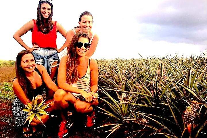 Det bedste ved Oahu Heldags-ø-tur med små grupper