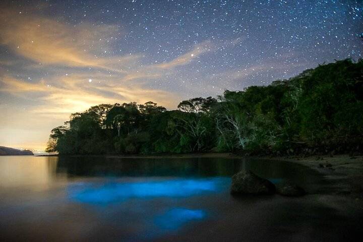 Bioluminescent Bay, Fajardo