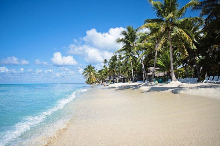 Dagtour naar Saona Island Sailing met lunch en drankjes