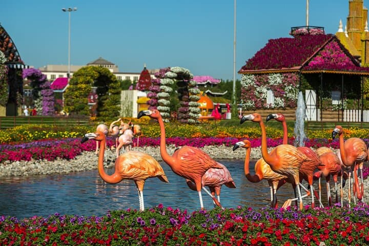 Memorable Evening at Dubai Global Village with Dubai Miracle Garden Visit !!