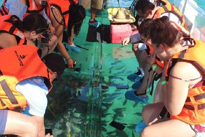 Cabo's Original Clear Boat Tour: vedere l'arco e la fine della terra