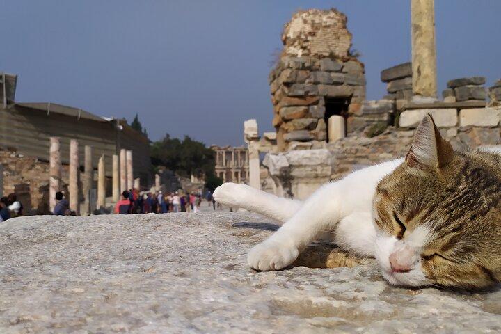 Bedste af Ephesus Tour fra Kusadasi: Temple of Artemis, St. John Basilica, Isa Bey Mosque