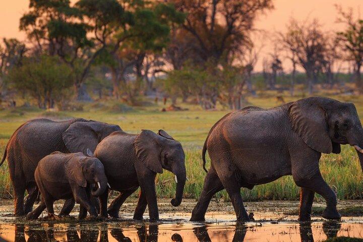 Livingstone til Vic-falls lufthavn