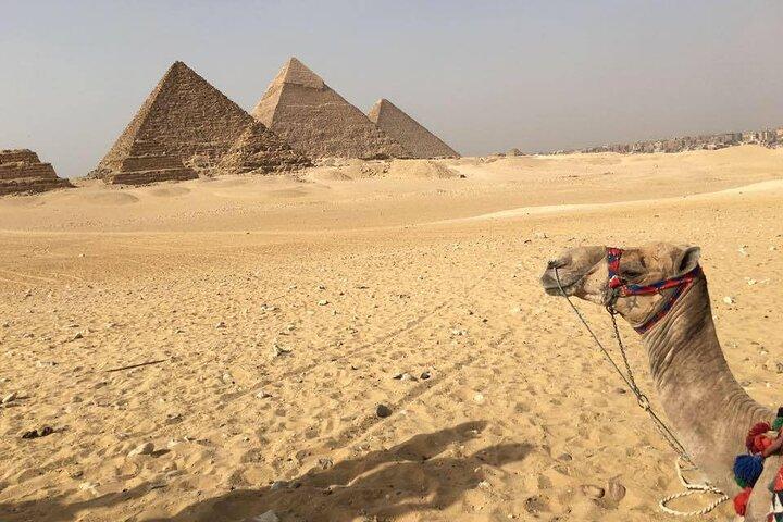 Hurghada : Grand Egyptian Museum & Pyramids in small group