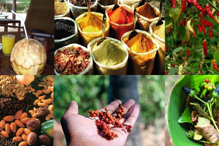 Spice Tour from Stone Town Zanzibar
