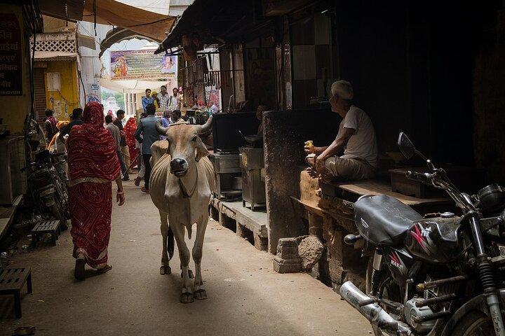 Varanasi Photography Tour with Lunch