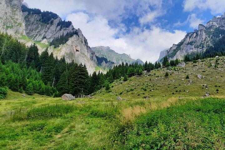 Excursión de un día de senderismo en el parque natural de Bucegi: excursión privada de un día desde Brasov