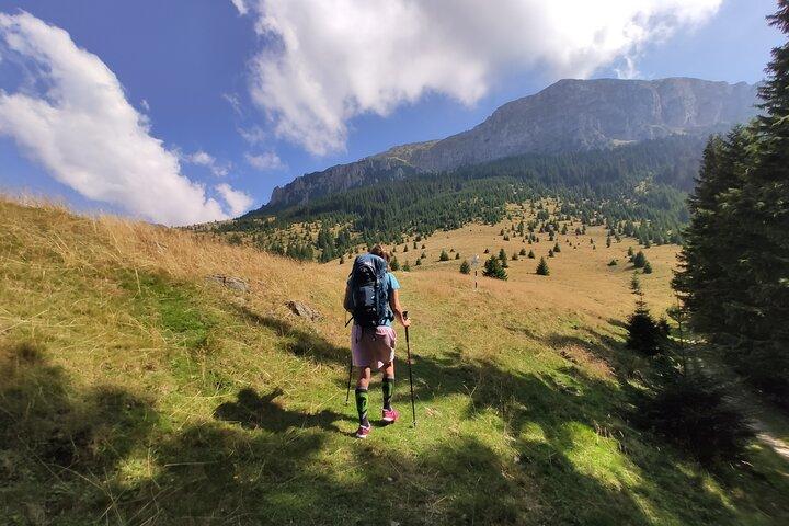Excursión de un día de senderismo en el parque natural de Bucegi: excursión privada de un día desde Brasov