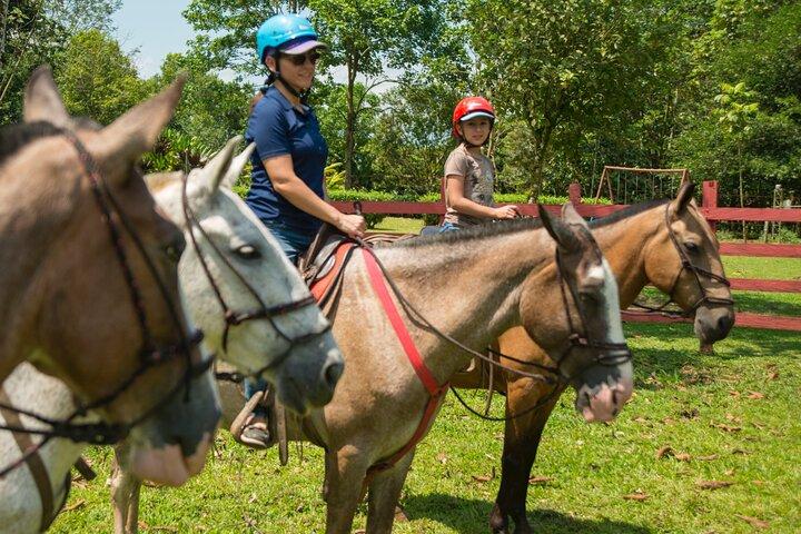 Sarapiqui Forest Horseback Riding Experience in Costa Rica