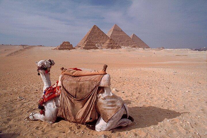 Excursão de dia inteiro a Giza com Camel Ride e Grand Egyptian Museum
