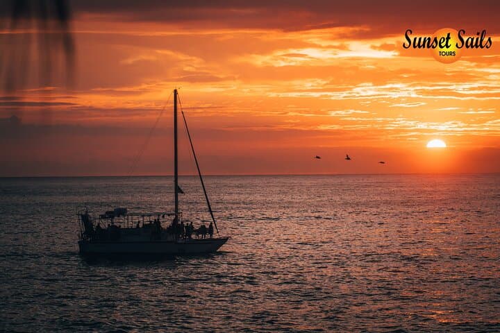 Sunset Sails Tours Morning tours (9am).