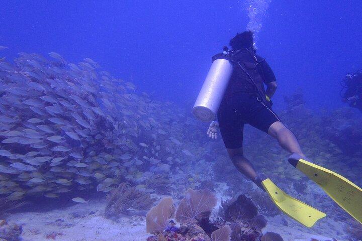 Descubrir el buceo