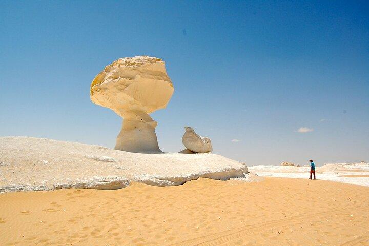Excursion privée de 3 jours à l'oasis de Bahariya au départ du Caire