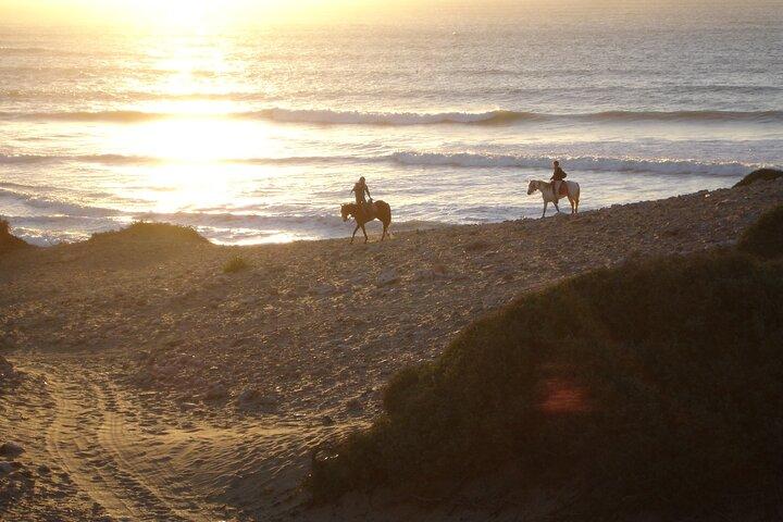 2 timmars hästridning strand och sanddyner i Essaouira Marocko