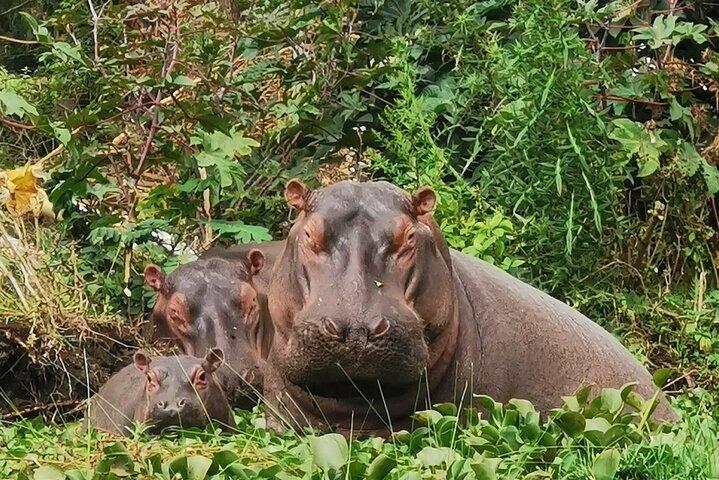 Lake Nakuru National Park Day Tour
