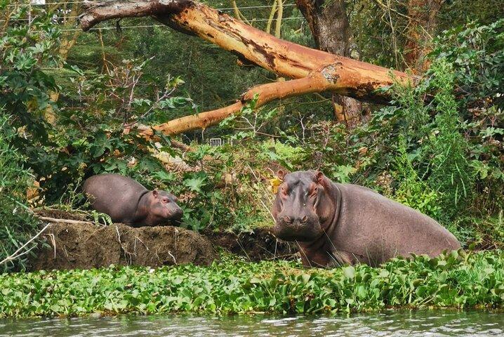 Lake Nakuru National Park Day Tour