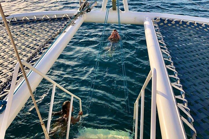 Waikīkī Gran Aventura de buceo y vela con tortuga guiada de Moana