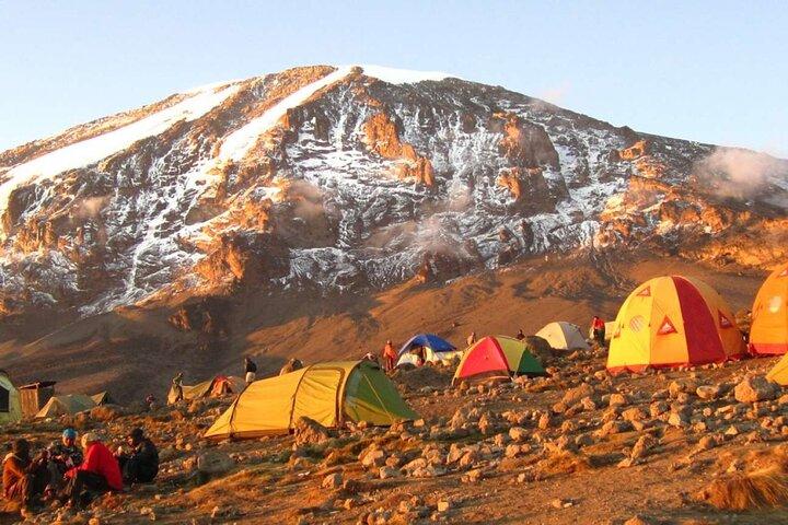 Dag 7: Vandring Kilimanjaro via Lemosho Route