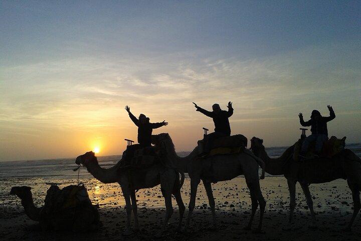 3 hours Camel Ride in Essaouira, beach and dunes