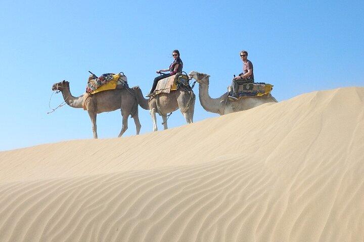 3 hours Camel Ride in Essaouira, beach and dunes
