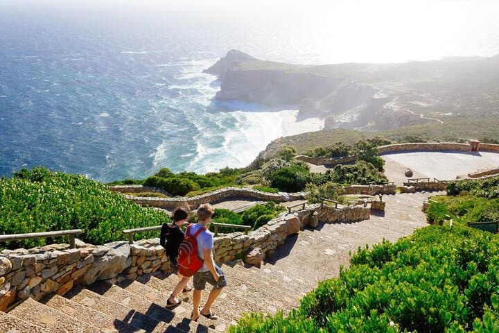 Cape Point and Boulder's Penguins Full Day Tour