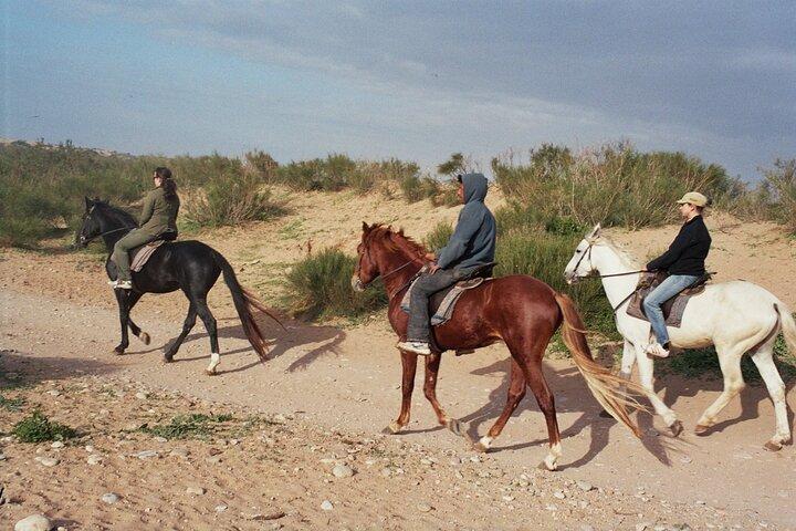 1 timmes ridtur på stranden i essaouira