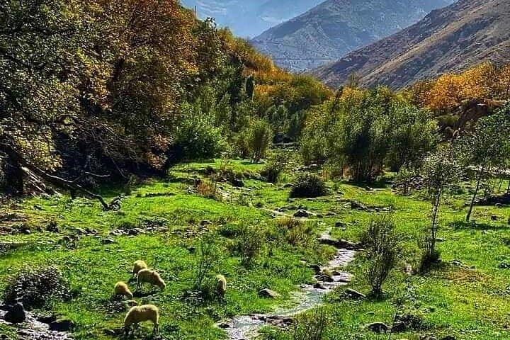 Atlas Mountains Day Trip From Marrakech