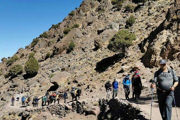 Atlas Mountains Day Trip From Marrakech