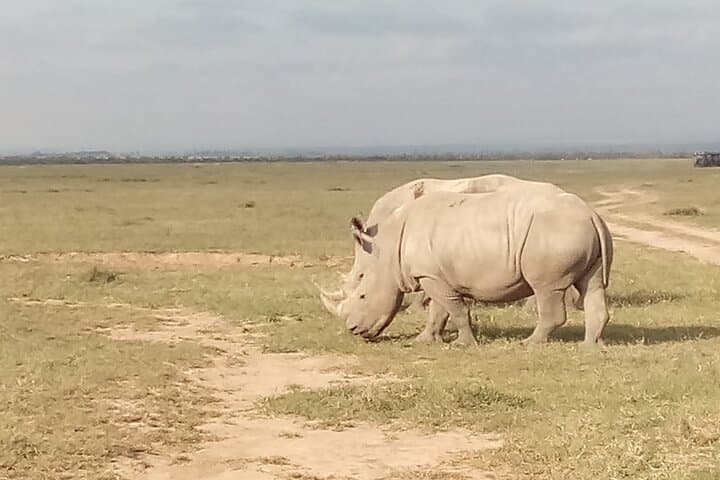 2 Days Loberia Trekking with Rare Rhino