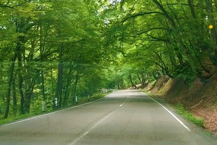 Caminhada ao Parque Nacional Lagodekhi saindo de Tbilisi