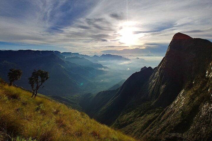 Excursión privada de un día a Munnar desde Kochi (Cochin)