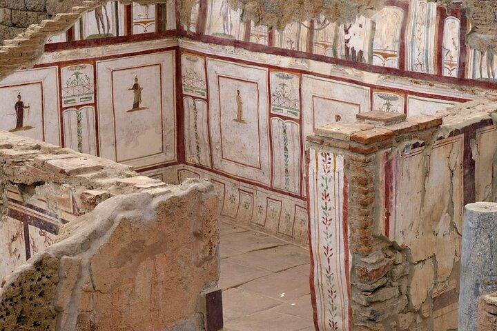 FOR CRUISERS: Ephesus, Artemis Temple Tour with ENTRY TICKETS