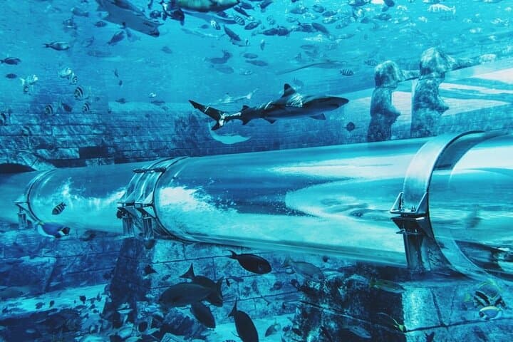 Atlantis water park & Lost Chamber with Ticket & Transfer