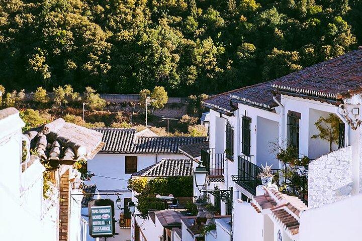 Albayzin og Sacromonte Guided Walking Tour i Granada