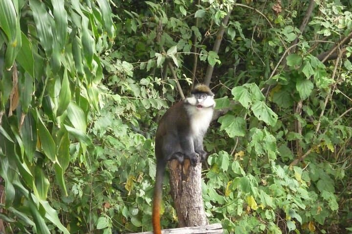 2 Days Safaris to Mount Kenya Fairmont Safari Club