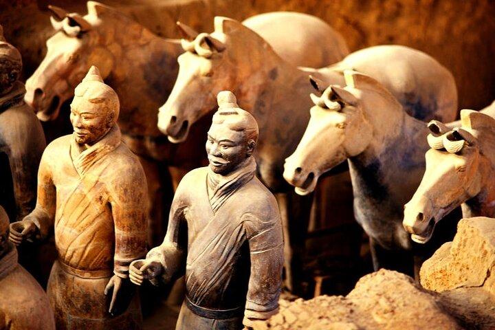 Terracotta Army Day Tour com Biangbiang Noodles Classe de Cozinha