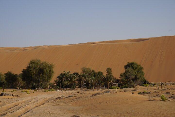 Liwa Full Day Desert Safari uit Abu Dhabi