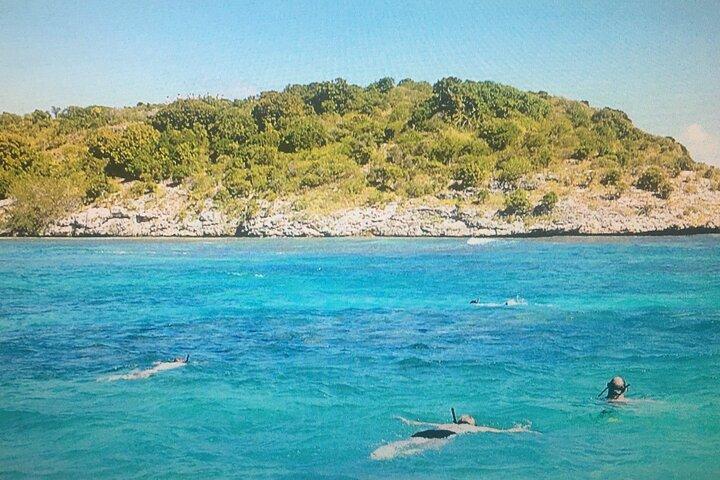 Cades Reef Schnorcheltour ab St. John's Antigua