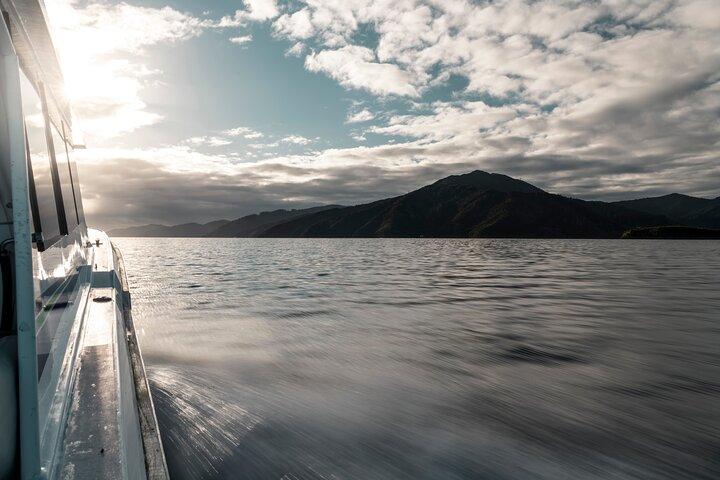 Cruzeiro de entrega Marlborough Sounds de 3,5 horas