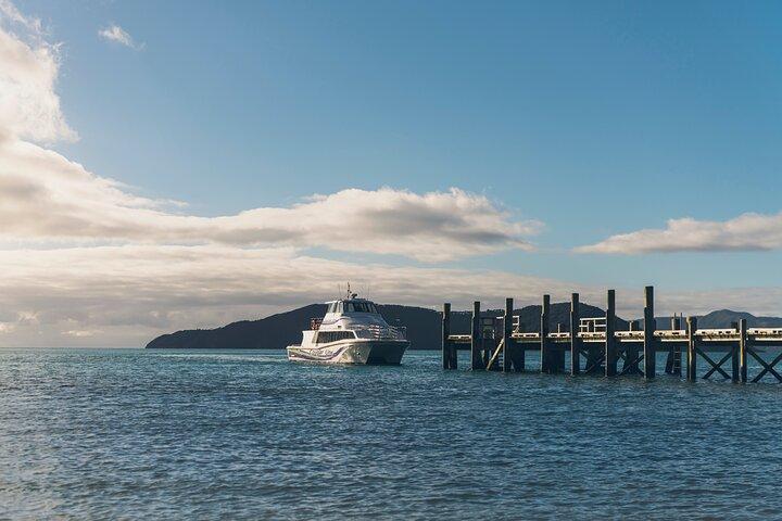 Cruzeiro de entrega Marlborough Sounds de 3,5 horas