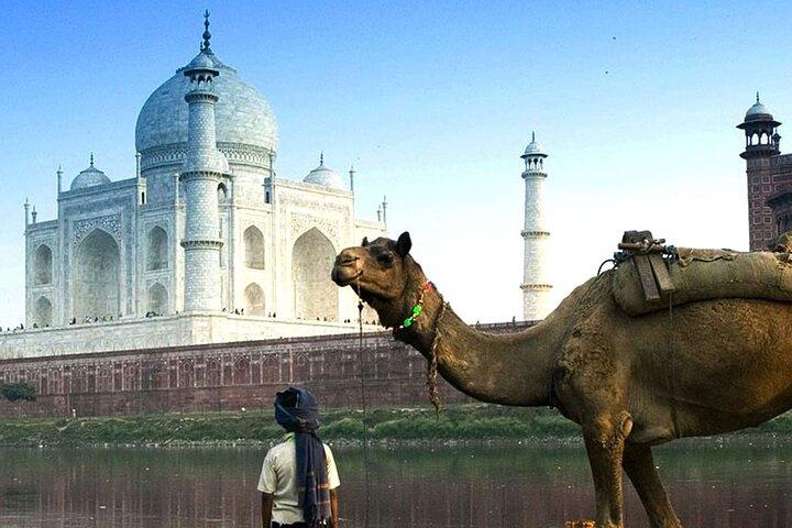 10 Tage Private Golden Triangle mit Holy City Varanasi von Delhi