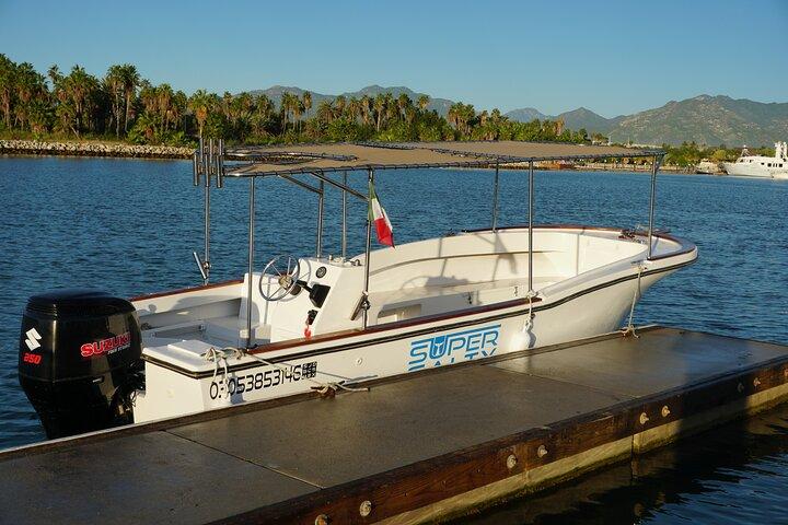 Private Walbeobachtung in San José del Cabo