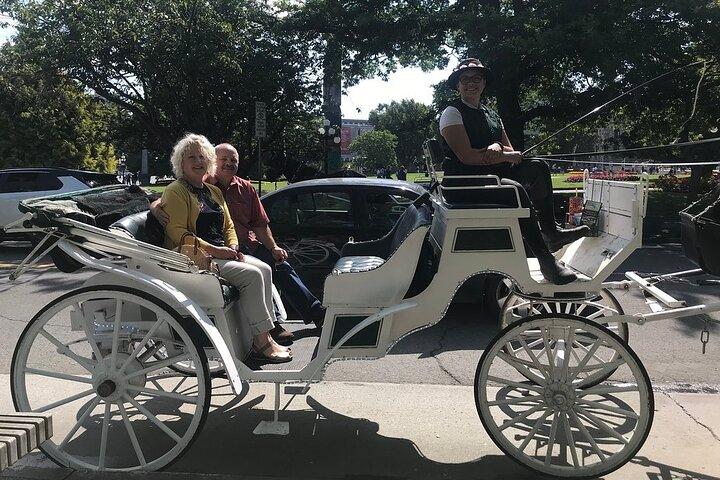 Tour di 45 minuti dal parco