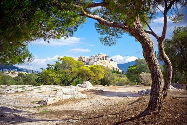 Private Acropolis & New Acropolis Museum for Families