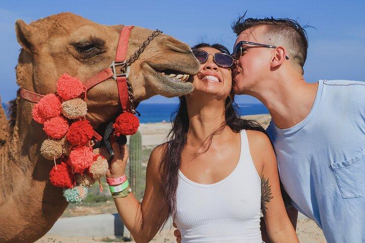 UTV Adventure with Free Camel Ride and Sky Bikes