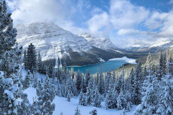 Private Tour für bis zu 24 Gäste von Lake Louise und dem Icefield Parkway