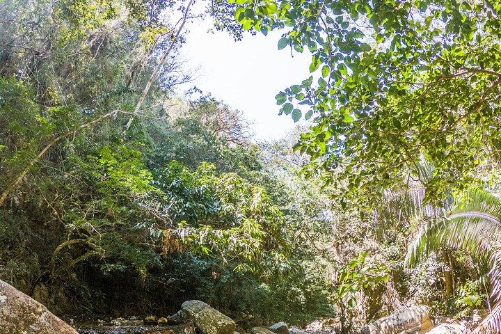 Avventura escursionistica: sentieri fluviali e meraviglie delle cascate