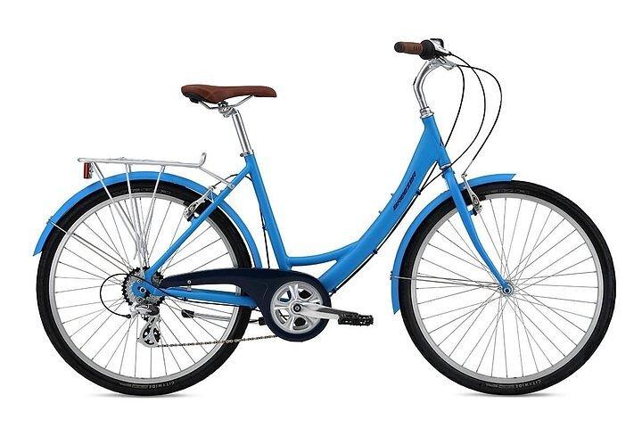 シカゴ半日自転車レンタル